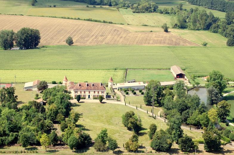 Vertigo Ranch Miniature Horses Vertigo Ranch Miniature Horses